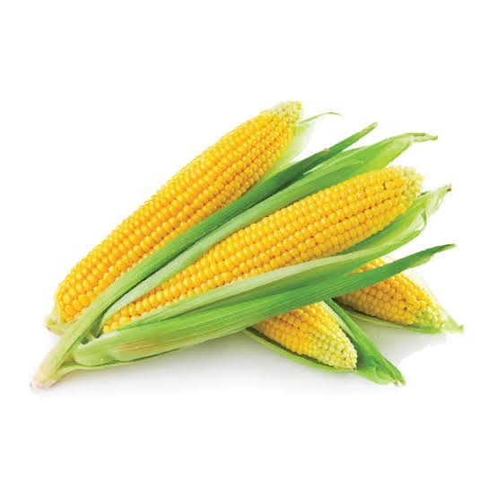 Category Icon